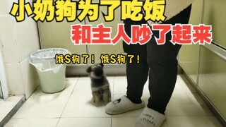 小狗为了吃饭和主人吵起来了！这暴脾气真是可爱极了！