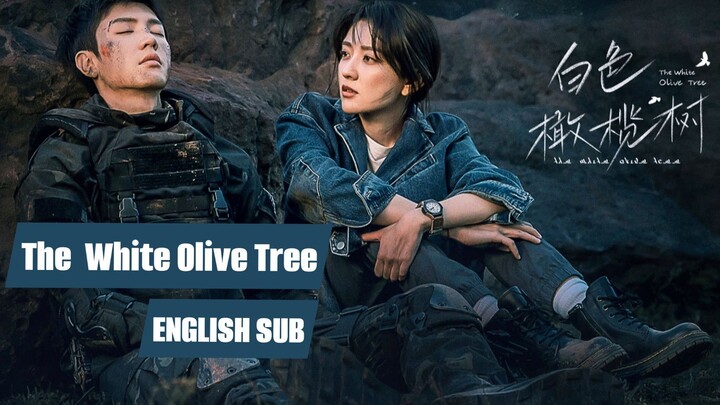 24 - The White Olive Tree