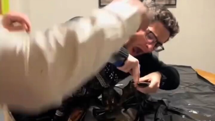 Lần đầu tiên nghe tôm hùm kêu