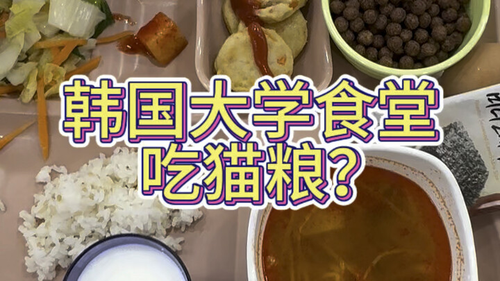 البيض محدود بواحد فقط، و"طعام الكلاب المنقوع بالحليب" يعود لفترة محدودة!