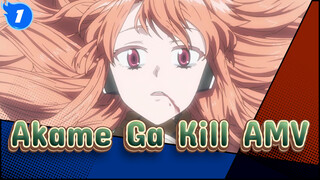 Akame Ga Kill AMV_1