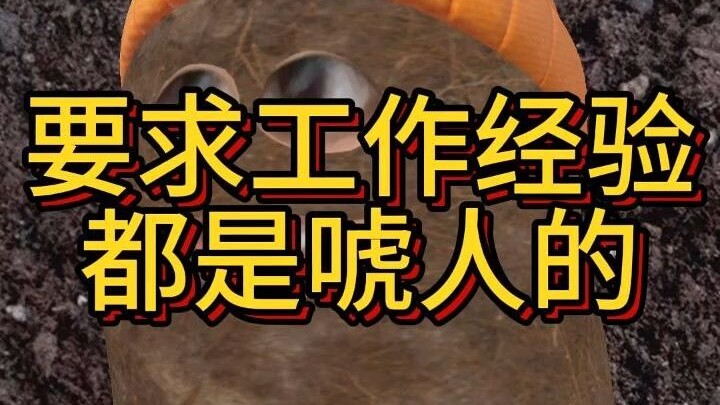 إن شرط الخبرة في العمل مجرد هراء.