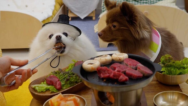Menghadirkan pesta barbeku yang mewah dan lezat untuk para sahabat anjing!