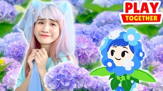 Trò Chơi Nhân Phẩm Khui 10 Hộp Cẩm Tú Cầu Nở Rộ | Play Together | Vê Vê Official