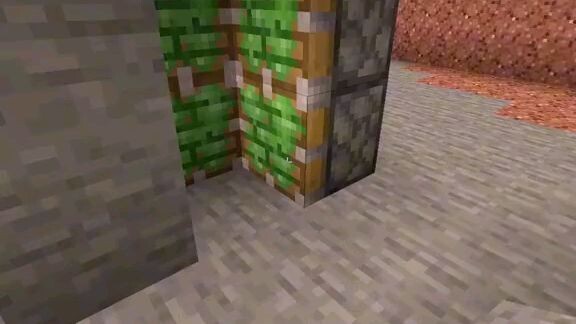 coolest minecraft door😎