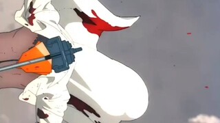 DENJI AMV