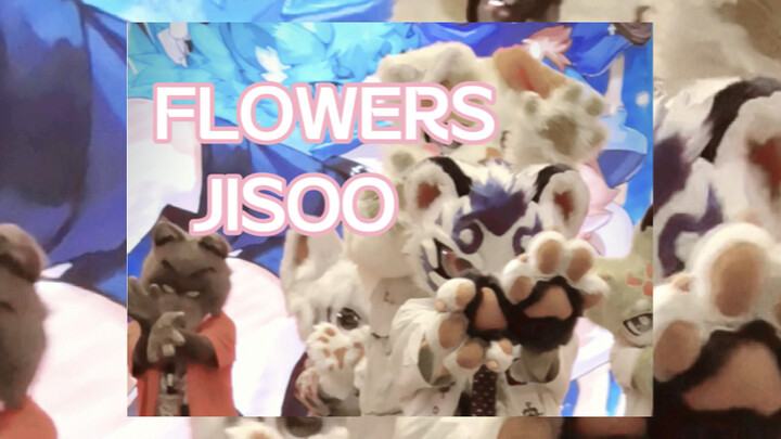 [Fursuit Dance] Why is someone blooming flowers on my head while I'm dancing?!