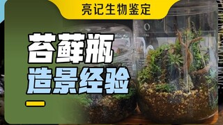 Moss Terrarium Landscaping Experience