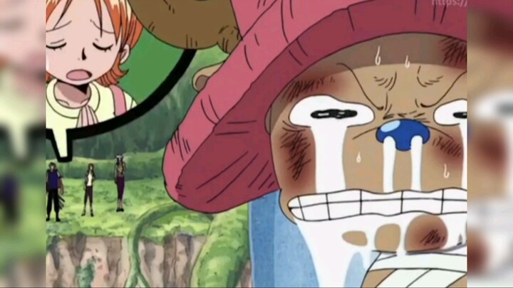 one piece funny moment