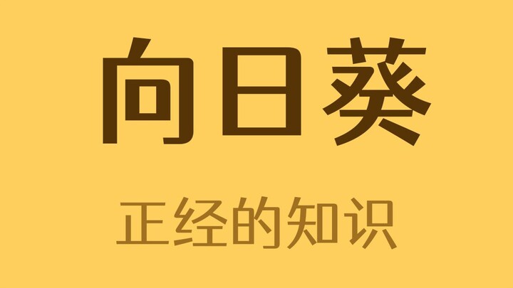 Have you ever seen a sunflower that’s only half open?