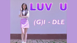 【Luv U】Bản cover ca khúc tiếp theo "Sarah" của nhóm nhạc nữ | Bản cover Weiweiweispicy