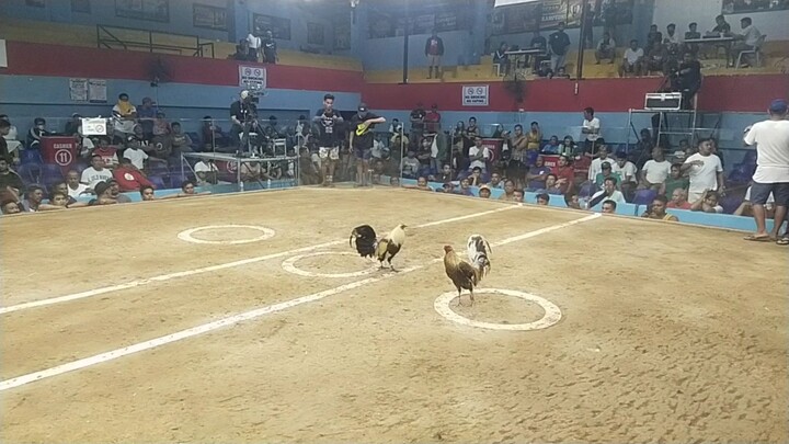 legit na bulik bumabalik..walang ka galos galos...larong magulang lang sakalam...💪💪💪💪💪