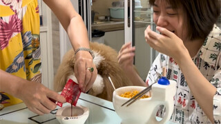 If you have no appetite, change the bowl