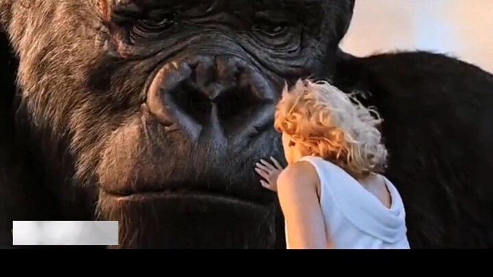 Akhir kisah cinta kingkong dan gadis cantik