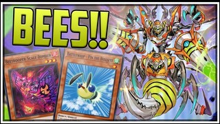 Beetrooper Breaks Master Duel!? SEARCH FOR MAXX "C"! [Yu-Gi-Oh! Master Duel]