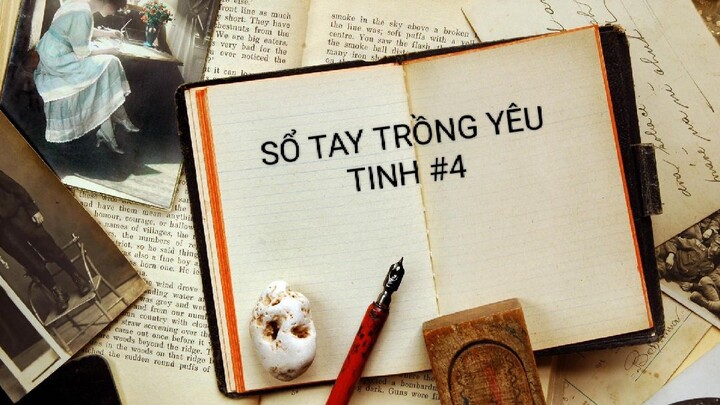 SỔ TAY TRỒNG YÊU TINH - TẬP 4/14