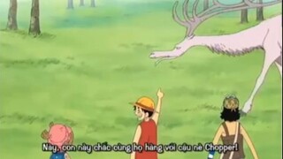 Sau bao nhiêu năm Luffy cũng đã tìm thấy họ hàng của Chopper