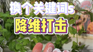 يقال إن هذه الأشياء بديل منخفض التكلفة، لكنني أعتقد أنها أقرب إلى ضربة ناجحة بمستوى أقل #أنا حقاً با