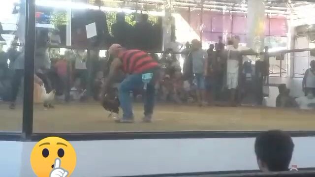 padaanga lodi