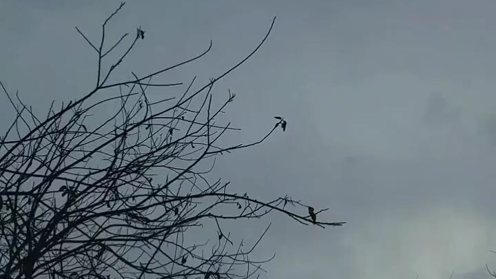 কখনো কখনো মনে হয় আমি কি বেচে আছি...