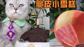 猫王：用饮料瓶自制脆皮小雪糕！