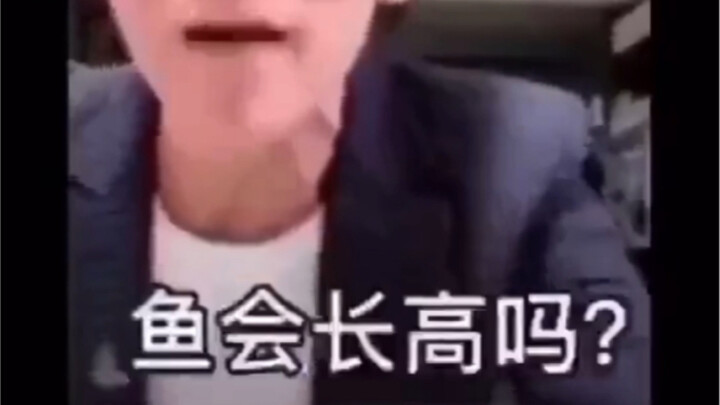 【Wang Lei Sells Fish】Iconic Moments High-Energy Mashup