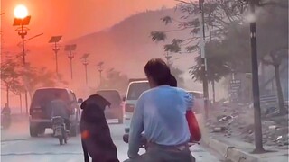 [Remix][Video lucu] Aku sedang mencoba menjalani hidupku sendiri