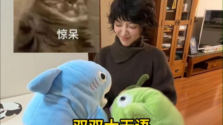 Plum Blossoms Bloom in Pairs, No Words to Express the Sentiment