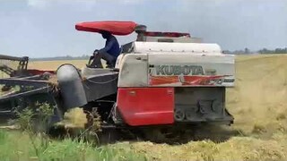 Máy Cắt Lúa KUBOTA l Máy Gặt Đập Liên Hợp