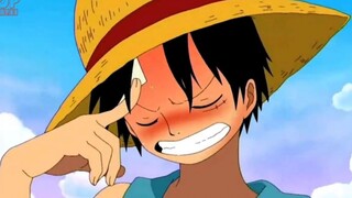 Top 10 Băng Hải Tặc Ít Người nhưng Cực Mạnh Trong One Piece p6