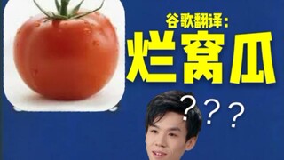 用谷歌翻译知名up主们会发生什么？