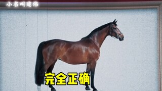 猜得好，下次不猜了
