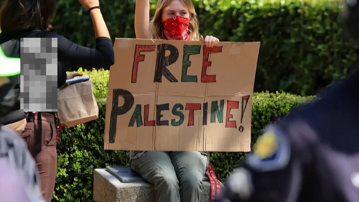 Universities are hailed as the most beautiful blossoms of the Middle Ages.