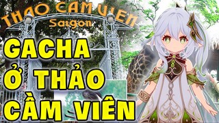 Gacha Thảo Thần Nahida ở Thảo Cầm Viên