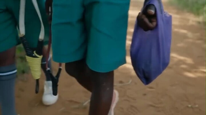 种子球，挽救肯尼亚森林的希望