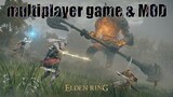 This Mod turns Elden Ring into a REAL multiplayer game!