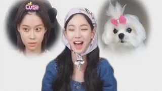 "في النهاية أصبحت كما تتخيله الأخت ليو في قلبها" يوزي يتحدى جين دونغتيان بذكاء