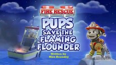 Paw patrol Musim 11 Episode 22 Bahasa indonesia