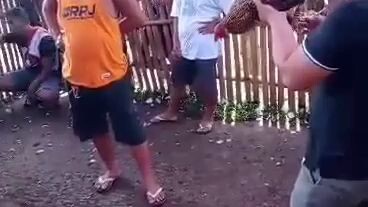 bulik