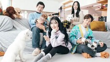 The Dog I Encountered Ep 01 Eng Sub