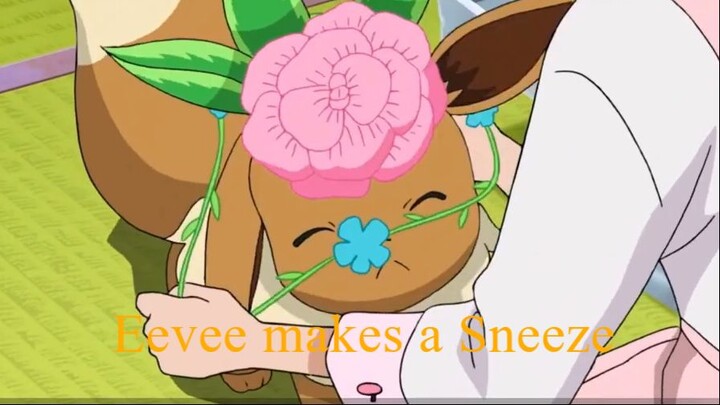 Eevee makes Sneeze (Japanese vs English)