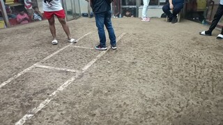 sqc sarurday fight