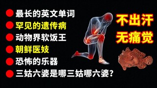 【Giải thích ngắn】Gái mại dâm y tế Triều Tiên