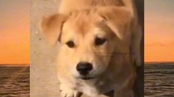 Có gì đó sai sai thì phải🤣🤣🤣