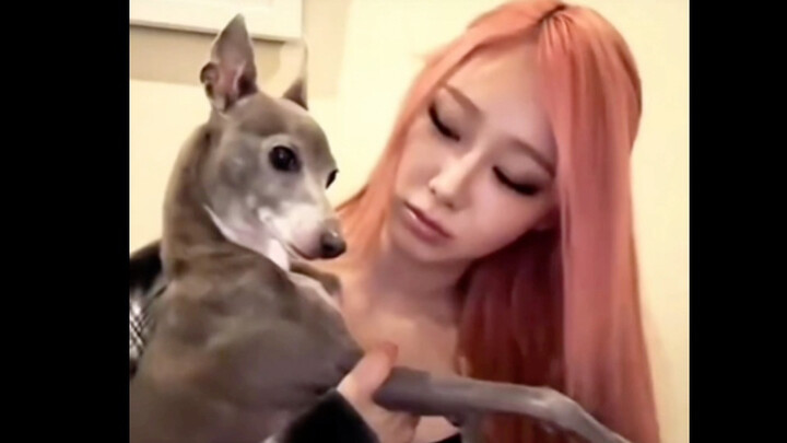 I can’t take Sister Ji’s mean dog anymore [crying hysterically]