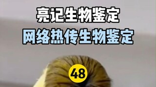 【Liangji Bioassay】Internet Hot Biological Identification 48
