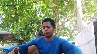 genesis gf sanmae gf