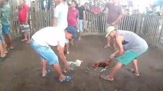 win magulang kalavan
