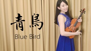 火影忍者疾风传OP3「青鸟～Blue Bird～」小提琴演奏 - 黄品舒 Kathie Violin cover