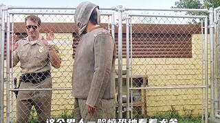 Mặc dù giống chó chăn cừu Đức này có vẻ dễ thương nhưng thực ra chúng rất dũng cảm.